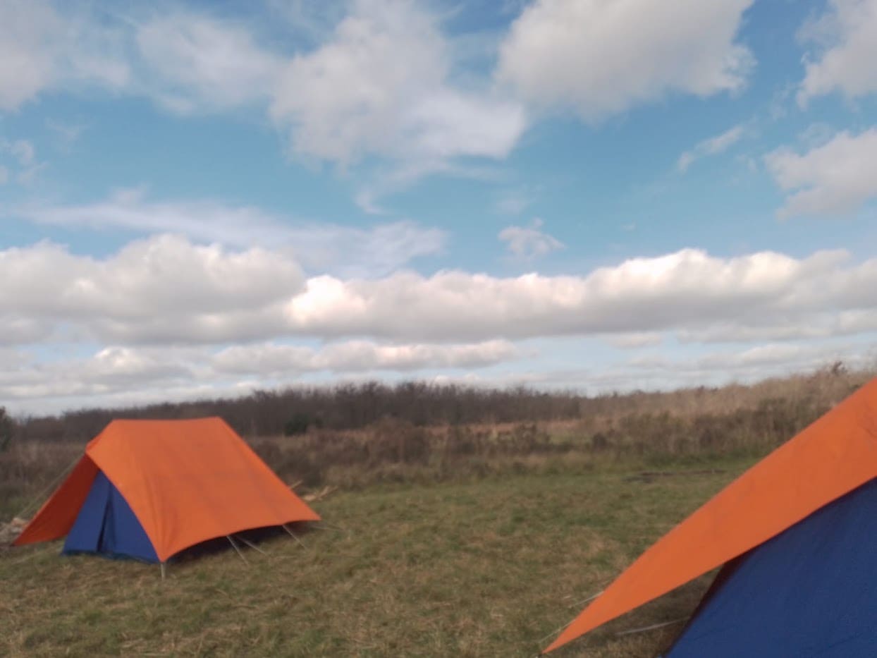 Carpas Scout