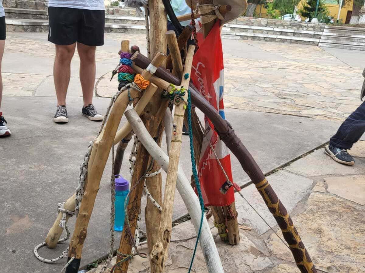 Cayados Scout